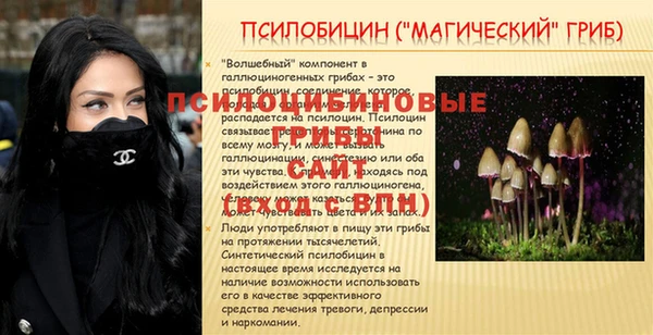 мдпв Карталы