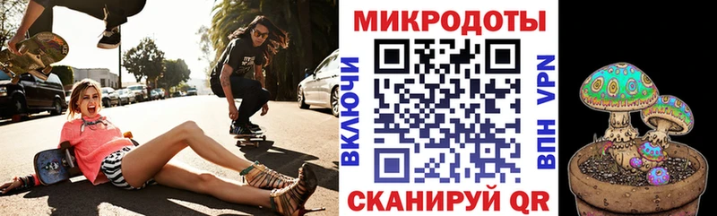 Галлюциногенные грибы прущие грибы  Бологое 