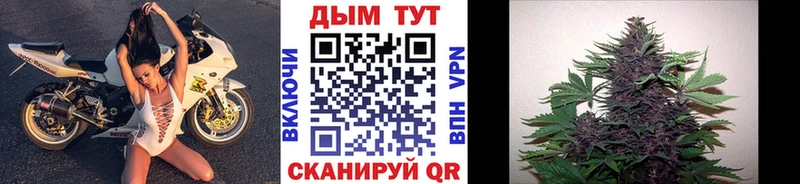 Конопля индика  Бологое 